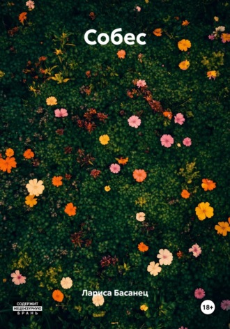 Лариса Басанец, Собес