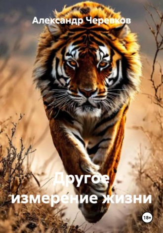 Александр Черевков, Другое измерение жизни