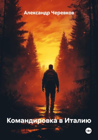 Александр Черевков, Командировка в Италию