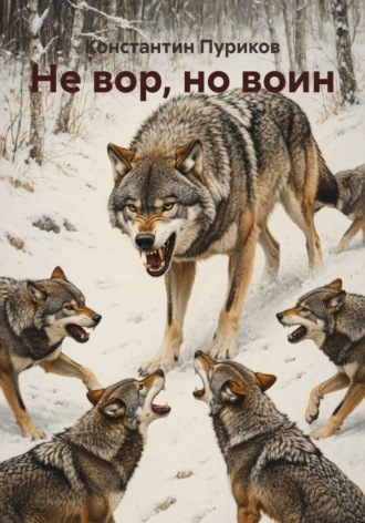 Не вор, но воин Константин Пуриков, Не вор, но воин
