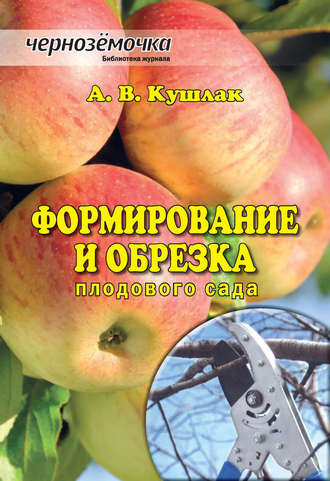 Алексей Кушлак, Формирование и обрезка плодового сада