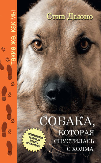 Стив Дьюно, Собака, которая спустилась с холма. Незабываемая история Лу, лучшего друга и героя