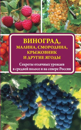 Виктор Жвакин, Виноград, малина, смородина, крыжовник и другие ягоды