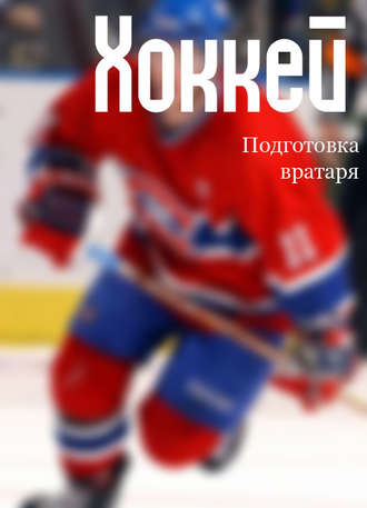Илья Мельников, Хоккей: подготовка вратаря