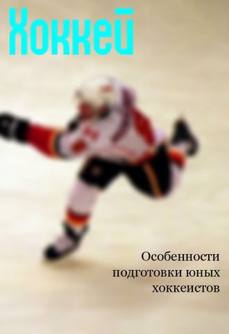 Илья Мельников, Особенности подготовки юных хоккеистов