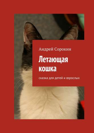 Андрей Сорокин, Летающая кошка. Сказка для детей и взрослых